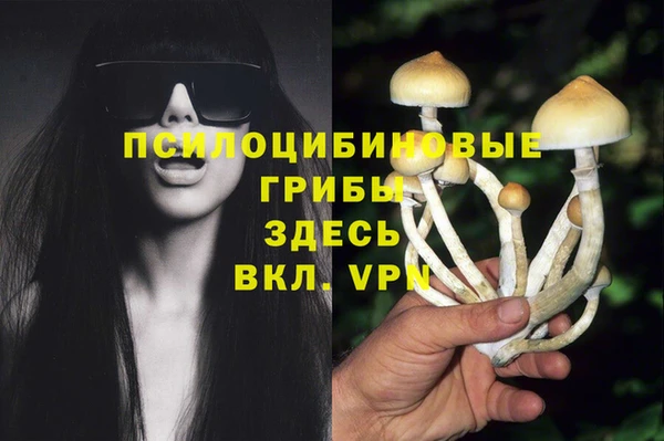 PSILOCYBIN Богданович